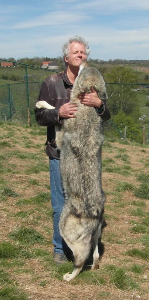 Ontmoeting-met-wolf-1