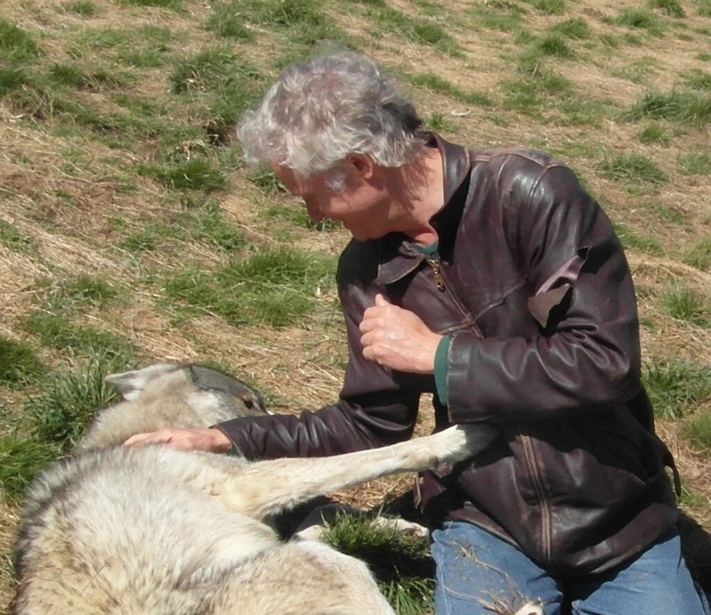 Ontmoeting-met-wolf-2